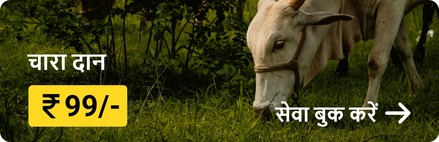 गौ सेवा