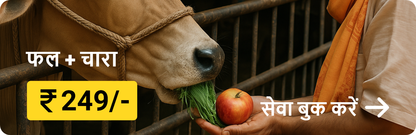 गौ सेवा